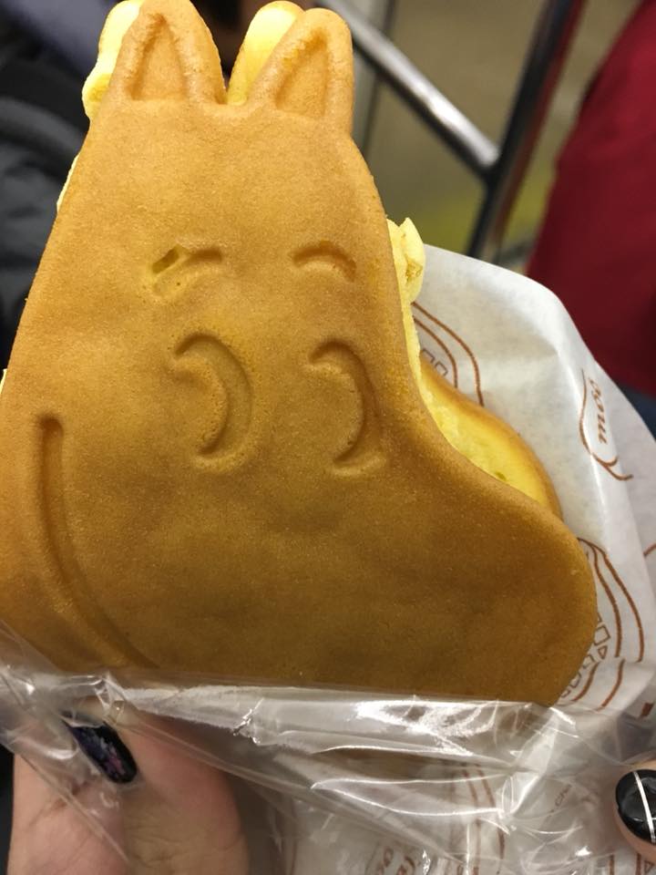 26229397_891982570979836_842456831204101615_n