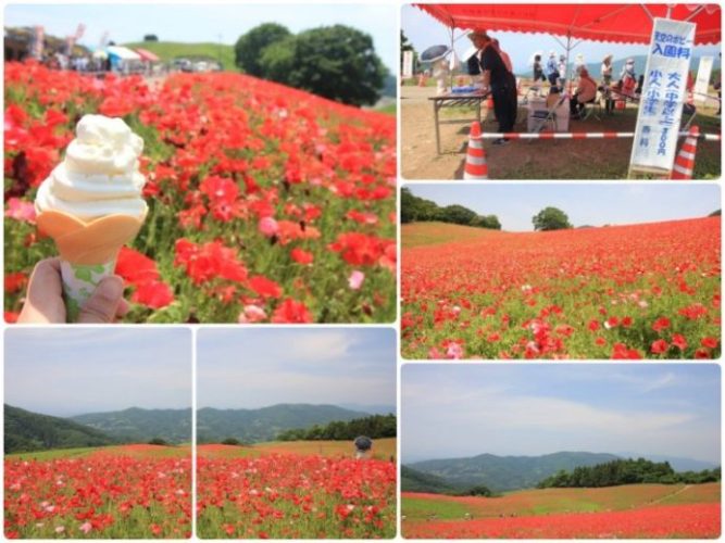 chichibu-kogen-22-e1496515973201