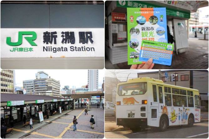 29177631_924485707729522_2117921349446926336_n