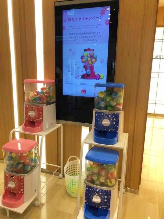 29178823_924766287701464_5798005820088123392_n