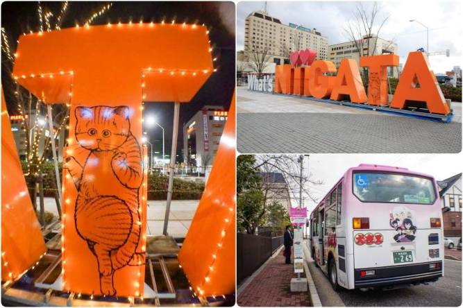 29186248_924488291062597_3485543072270385152_n