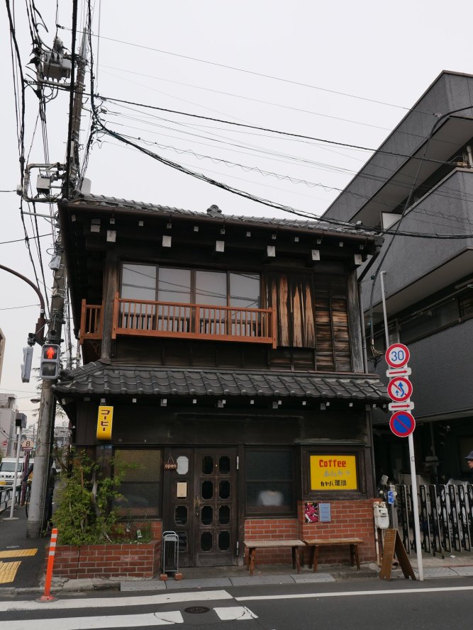 52504023_10216205134575576_3862243942154108928_o