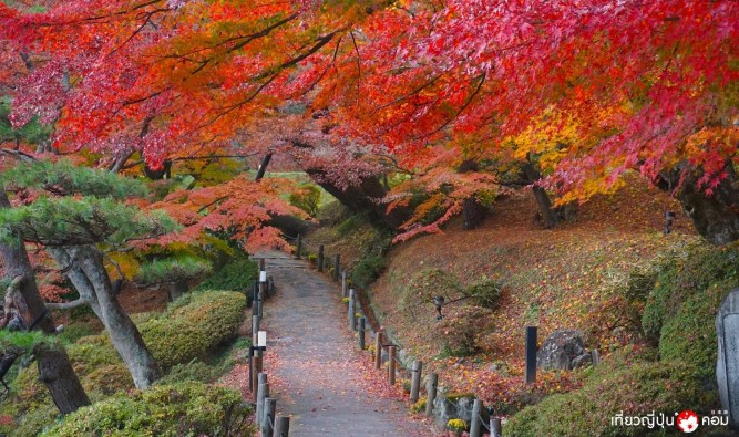 71404787_10156865248193212_7284487661861994496_o