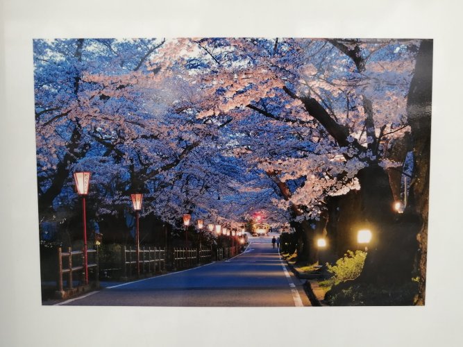 72831701_10217812698483669_8023591193508052992_o