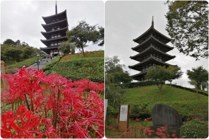 เทศกาลดอกไม้